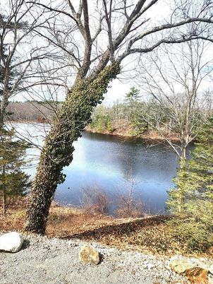 Exterior, Lake