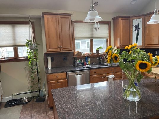 Interior, Kitchen, Pendant Lights, Stainless Steel Appliances