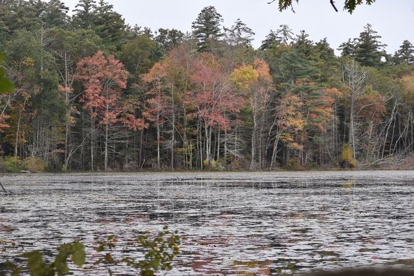 Exterior, Lake