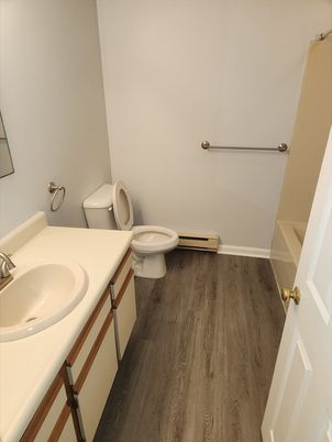 Bathroom, Interior, Wood Texture Flooring