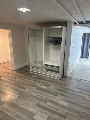 Interior, Walk-in Closets, Wood Texture Flooring