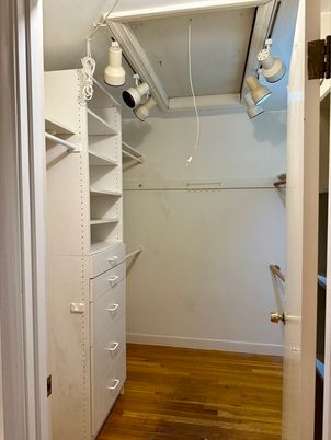 Interior, Walk-in Closets, Wood Texture Flooring