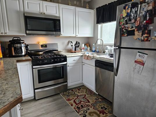 Interior, Kitchen, Stainless Steel Appliances, Wood Texture Flooring