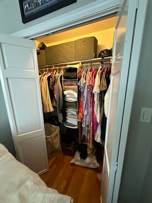 Interior, Walk-in Closets, Wood Texture Flooring