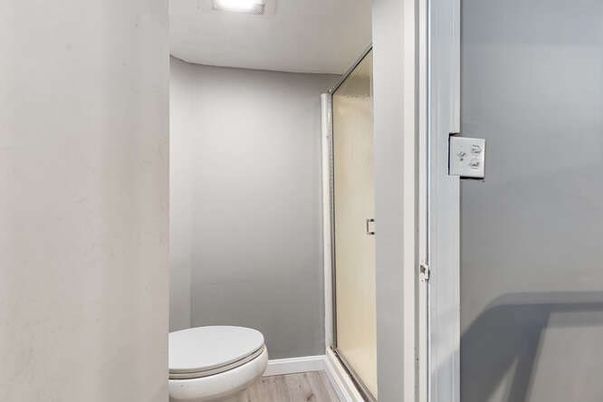 Bathroom, Glass Shower, Interior, Wood Texture Flooring