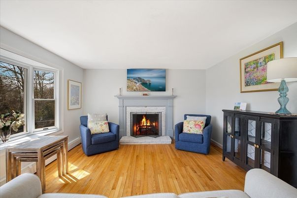 Fireplace, Interior, Wood Texture Flooring