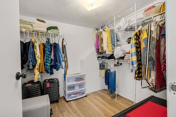 Interior, Walk-in Closets, Wood Texture Flooring