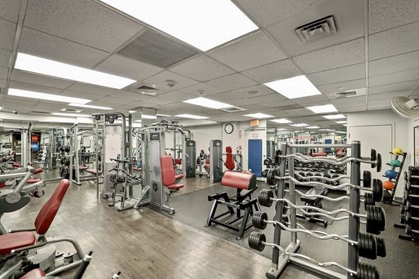 Fitness Equipment, Gym, Interior, Recessed Lighting, Wood Texture Flooring