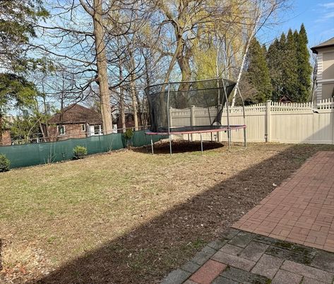 Backyard, Exterior, Playground