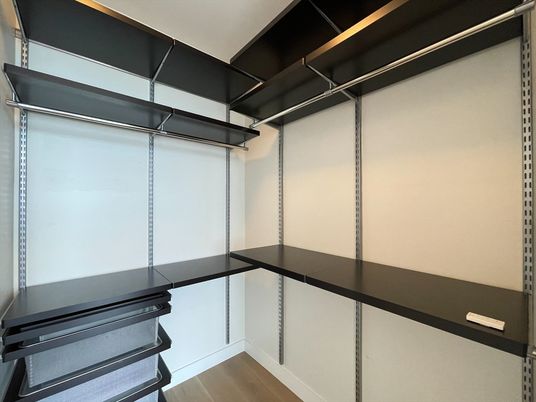 Interior, Walk-in Closets, Wood Texture Flooring