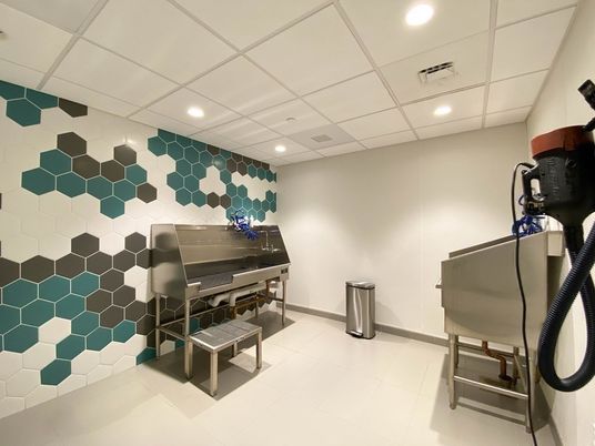 Interior, Piano, Recessed Lighting