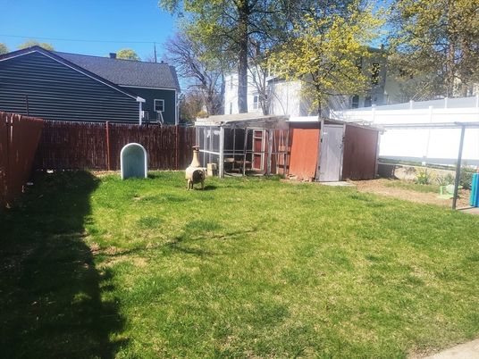 Backyard, Exterior