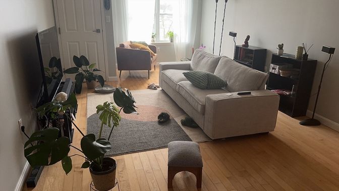 Interior, Living room, Wood Texture Flooring