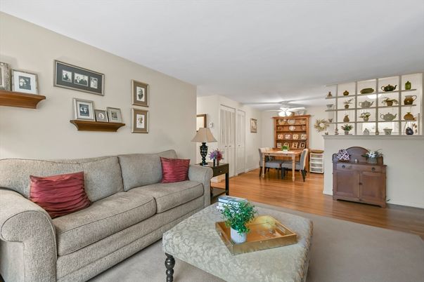 Dining room, Interior, Living room, Wood Texture Flooring