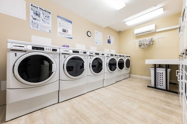 Interior, Washer, Wood Texture Flooring