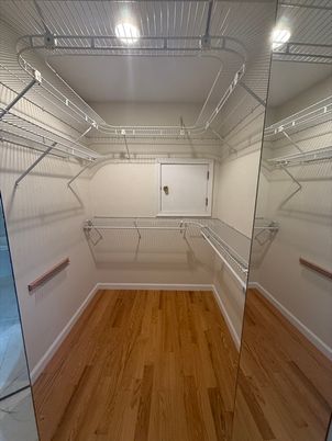 Interior, Walk-in Closets, Wood Texture Flooring