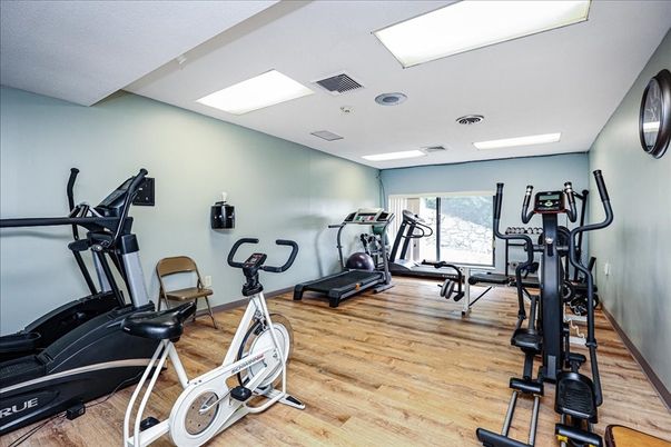 Fitness Equipment, Interior, Recessed Lighting, Wood Texture Flooring
