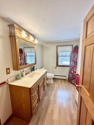 Bathroom, Interior, Wood Texture Flooring