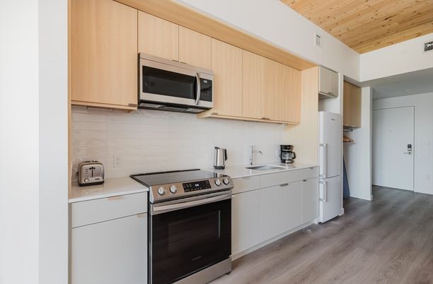 Interior, Kitchen, Stainless Steel Appliances, Wooden Ceilings, Wood Texture Flooring