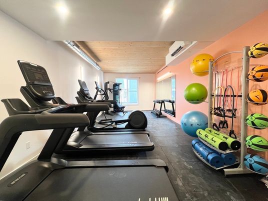Fitness Equipment, Interior, Recessed Lighting, Wooden Ceilings