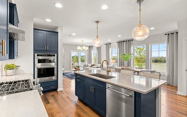 Interior, Kitchen, Living room, Pendant Lights, Recessed Lighting, Stainless Steel Appliances, Wood Texture Flooring