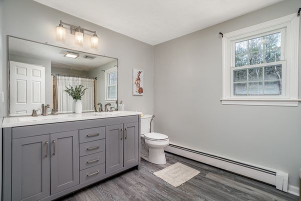 Bathroom, Dual Sink Vanities, Interior, Wood Texture Flooring
