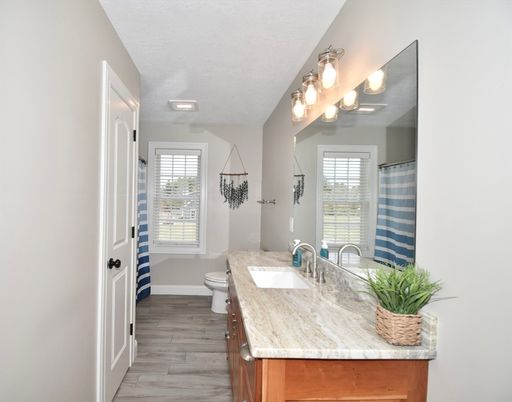 Bathroom, Interior, Wood Texture Flooring