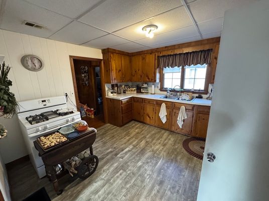 Interior, Kitchen, Wood Texture Flooring