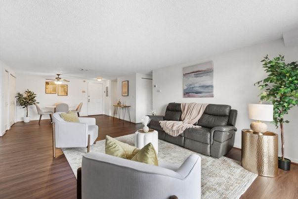 Dining room, Interior, Living room, Wood Texture Flooring