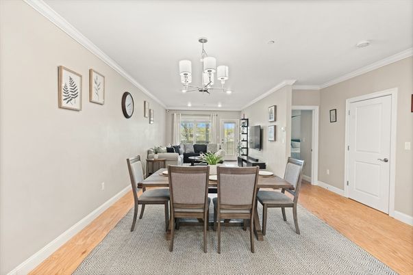 Chandelier, Dining room, Interior, Living room, Wood Texture Flooring