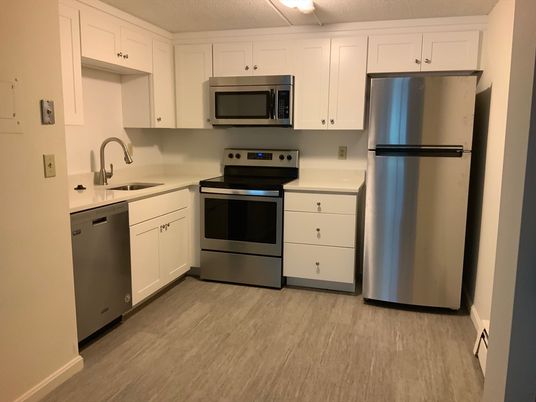 Interior, Kitchen, Stainless Steel Appliances, Wood Texture Flooring