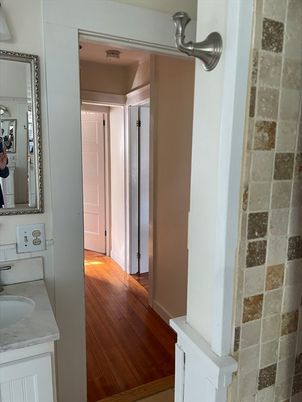 Bathroom, Interior, Wood Texture Flooring