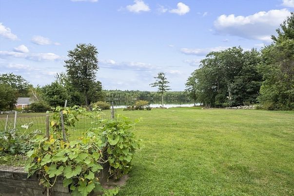 Backyard, Exterior, Water