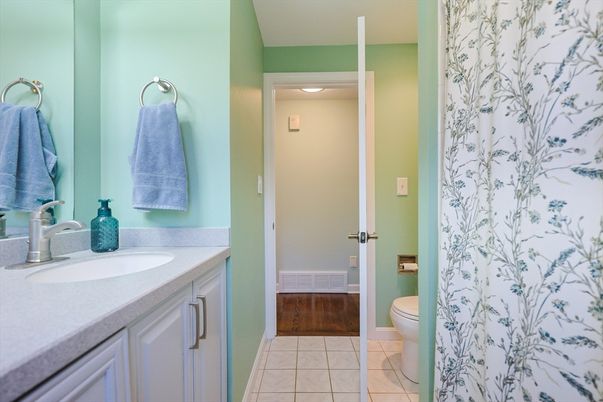 Bathroom, Interior, Wood Texture Flooring
