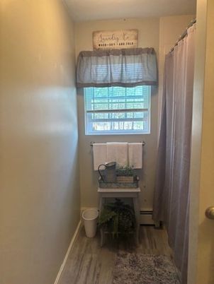 Bathroom, Interior, Wood Texture Flooring