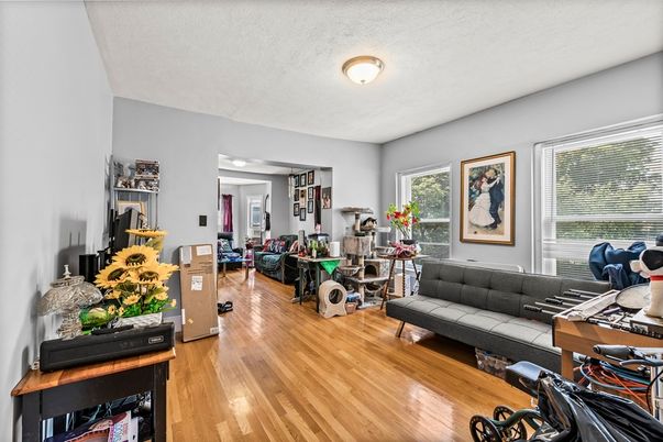 Interior, Living room, Wood Texture Flooring