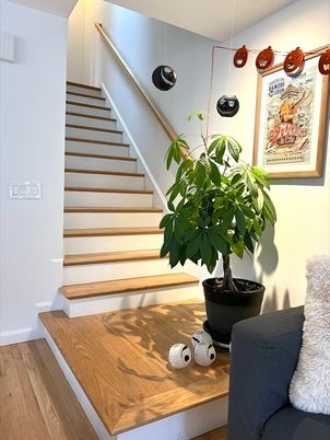 Interior, Wood Texture Flooring