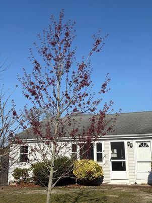 Exterior, Facade, Cape Cod