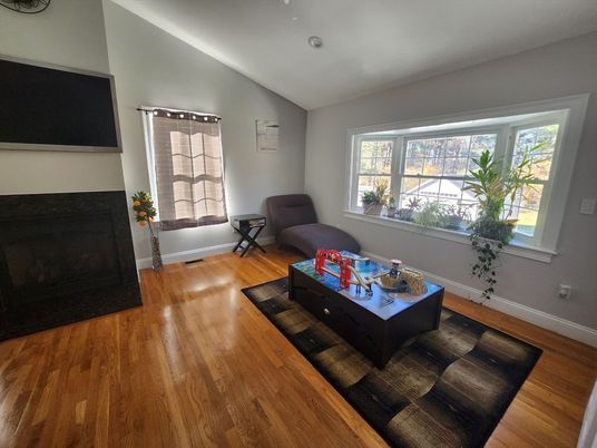 Fireplace, Interior, Wood Texture Flooring