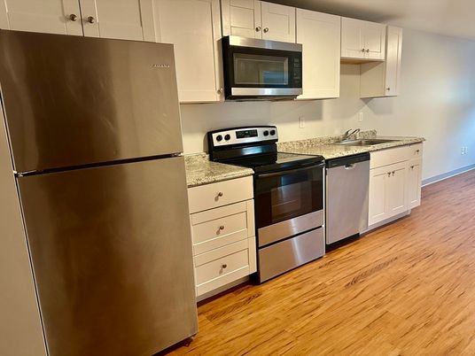 Interior, Kitchen, Stainless Steel Appliances, Wood Texture Flooring
