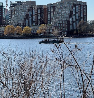 Exterior, Lake