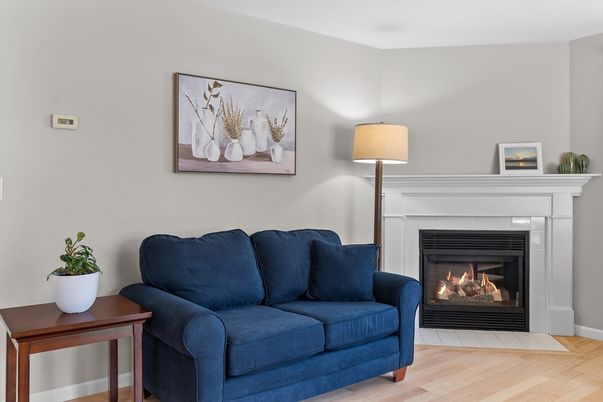 Fireplace, Interior, Wood Texture Flooring
