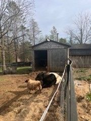 Backyard, Detached Garage, Exterior