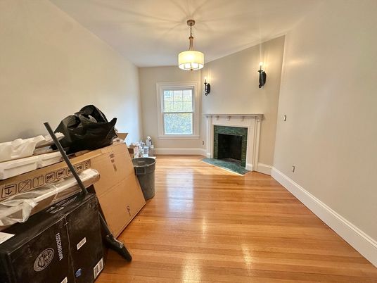 Fireplace, Interior, Wood Texture Flooring