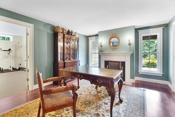 Fireplace, Home Office, Interior, Wood Texture Flooring