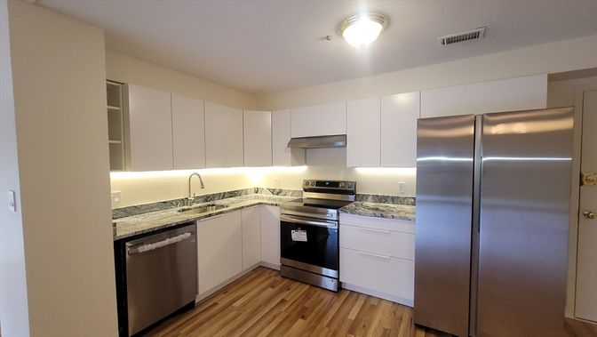 Interior, Kitchen, Stainless Steel Appliances, Wood Texture Flooring