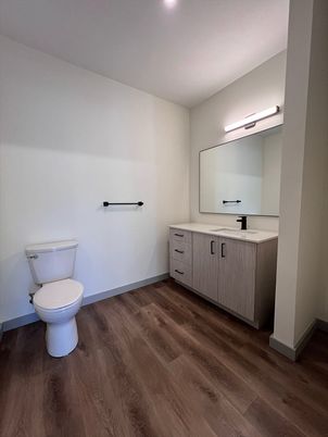 Bathroom, Interior, Recessed Lighting, Wood Texture Flooring