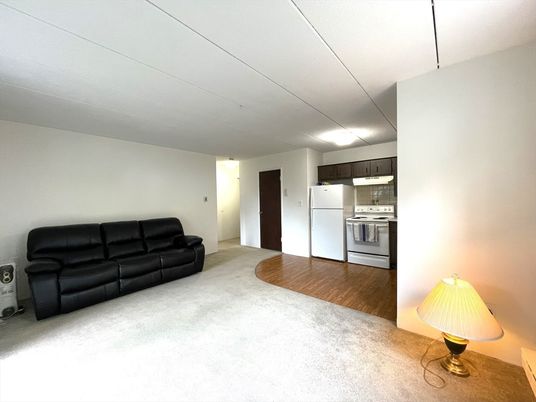 Interior, Kitchen, Living room, Stainless Steel Appliances, Wood Texture Flooring