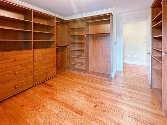 Interior, Walk-in Closets, Wood Texture Flooring