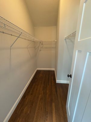Interior, Walk-in Closets, Wood Texture Flooring